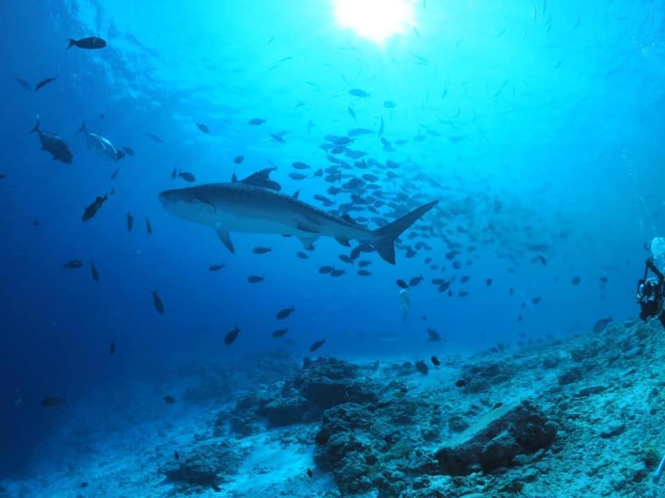 Endhaa, Divers Home Fuvahmulah Dış mekan fotoğraf